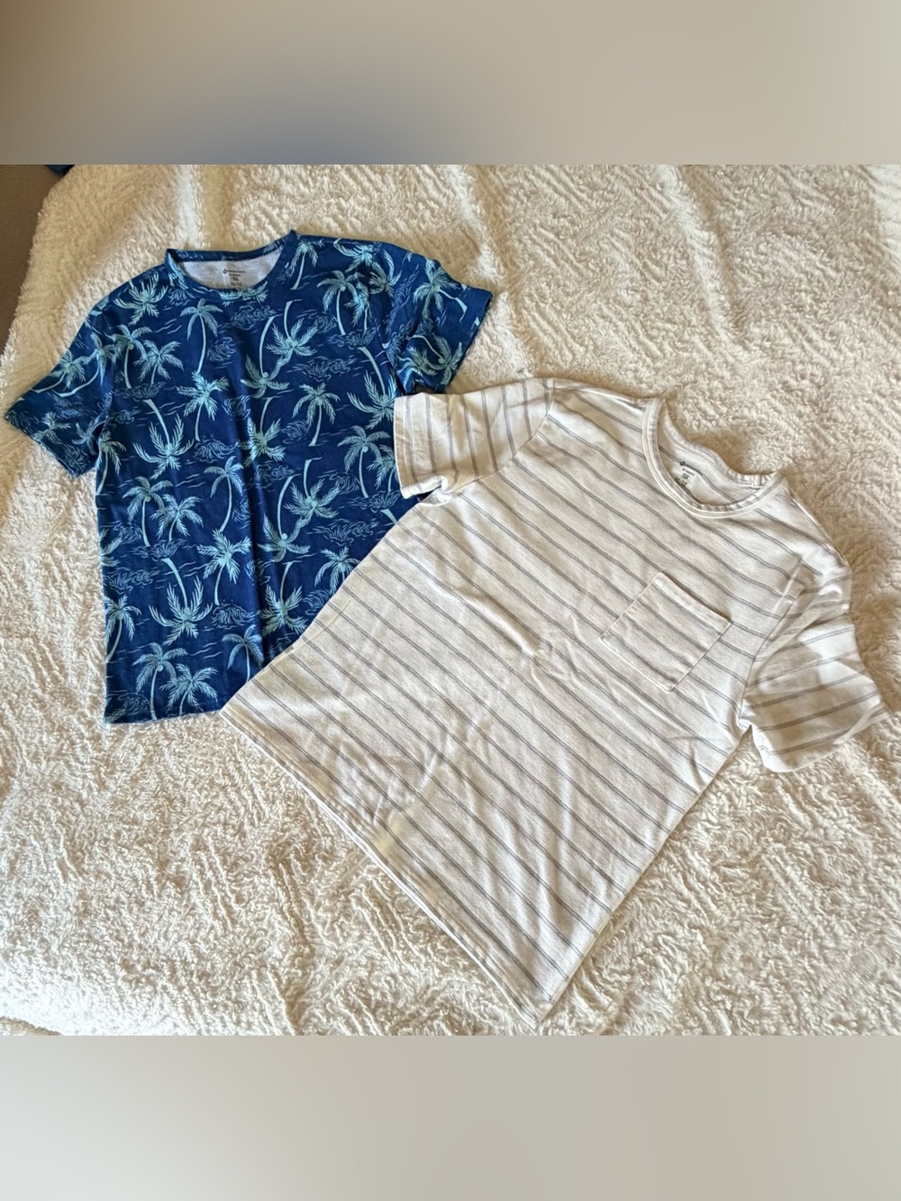 Boys T-Shirt 2-Pack: Cream Breton Stripe Patch-Pocket & Deep Ocean Palm sz 10/12